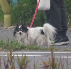 koharu20230321.JPG