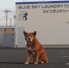 syoko20230322a.JPG